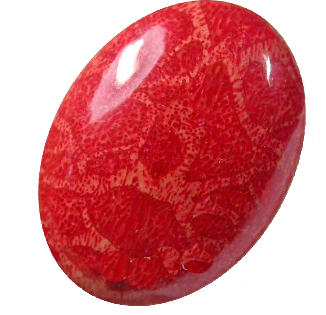 CORAL