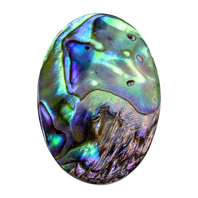 SHELL